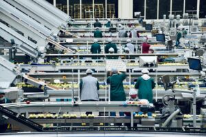 Operations and Processes